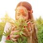 I terpeni della cannabis più interessanti