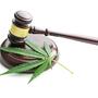 cannabis leaf on hammerblock