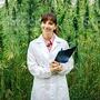 Dottore Cannabis