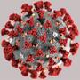Il Coronavirus
