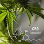 CBD in Europa - Wie ist es um den Rechtsstatus bestellt?