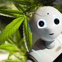 L’intelligenza artificiale può prevedere l’impatto della cannabis sulla salute mentale?