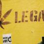 ¿Por qué legalizar la marihuana y su cultivo?
