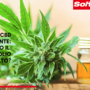 Olio di CBD è stupefacente per il Ministero: monopolio all'orizzonte?