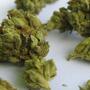 La magia nascosta della cannabis: tutto sulla decarbossilazione