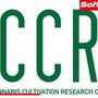 Questionario Internazionale sulla Coltivazione Domestica di Cannabis