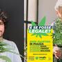 sardine legalizzazione cannabis