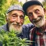 Cannabis World Cannabis Photo Cup 2025.