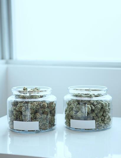 A recent study has highlighted a new form of reporting bias that could affect how evidence about medical cannabis is presented to the public.