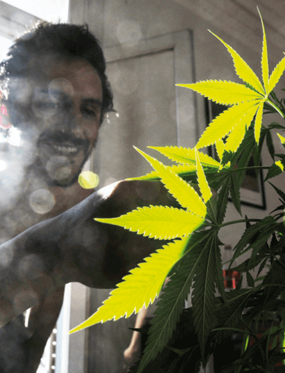 ¿Qué hacer con "la pálida" de la marihuana?
