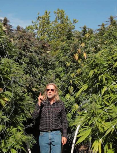 A la hidroponía dale aire y dale gas