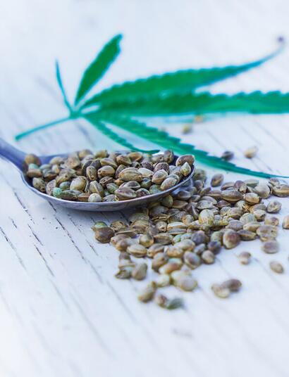La nuez del cáñamo: una delicia nutritiva