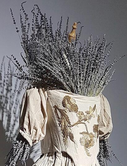 BESMET! Welke inzichten bieden historische epidemieën voor de toekomst?