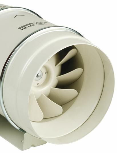 Zielony Smok, czyli ognista nalewka konopna