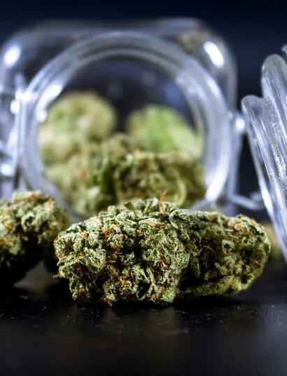 From aroma to effects, explore the 10 key steps used to evaluate cannabis entries in competitions. A practical guide for beginners and aspiring judges.