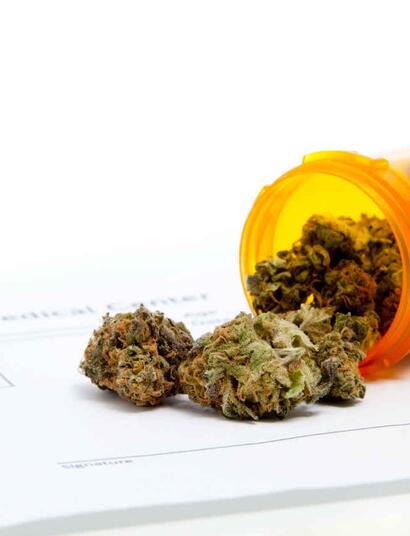 Cannabis médical : le cap du 1000eme patient a été franchi  