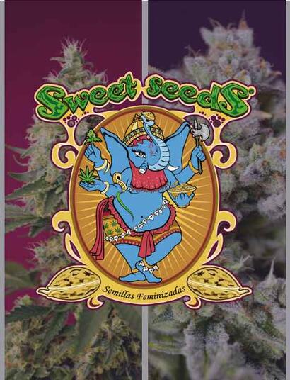 Novedades americanas Sweet Seeds® 2022