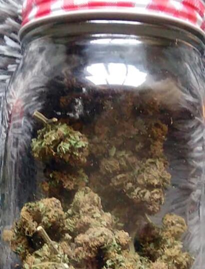 Seguimiento de un (par de) primer(os) cultivo(s)