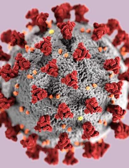 Coronavirus