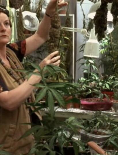 Dal film alla realtà