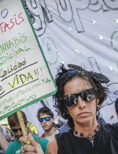 Cannabis medicinal: leyes en provincias argentinas no ayudaron