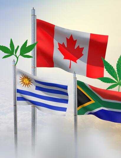  Avance de la Industria del Cannabis Medicinal en Uruguay, Canadá y Sudáfrica