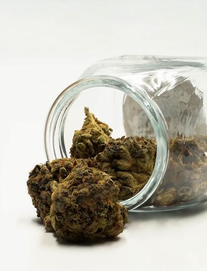 ¿Qué-es-el-curado-y-por-qué-es-tan-importante?