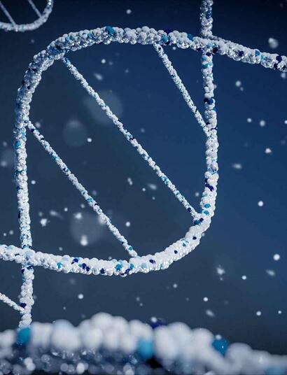 3D visualization of DNA. 
