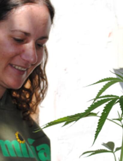 El primer grow de Chile cierra tras 12 años