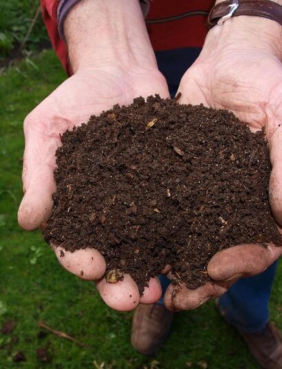 natural nutrient feeds, cannabis cultivation