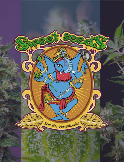 Nové strainy Sweet Seeds® pro rok 2022