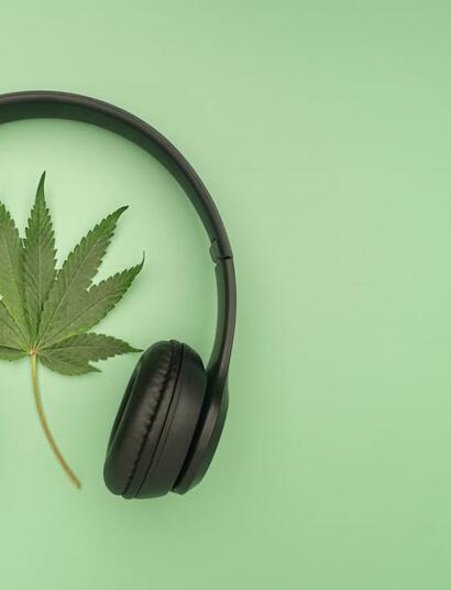  Discover 8 cannabis podcasts covering cultivation, science, business, history, and edibles. Find your next summer listen with shows worth tuning into.