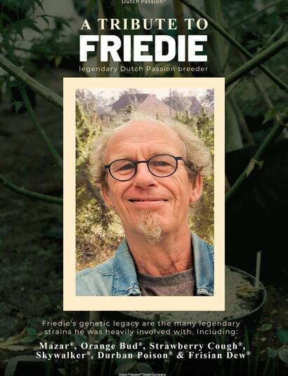Friedie: Un Tributo al Legendario Criador de Dutch Passion