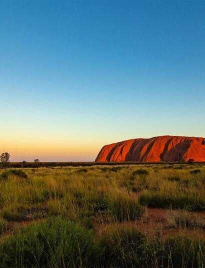 Australisches Parlament stimmt über Cannabis-Legalisierung ab