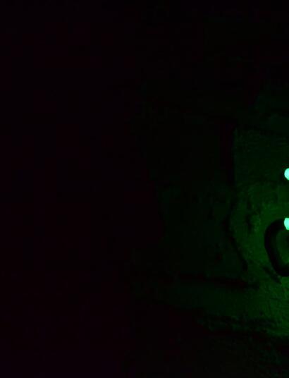 Activismo Cannábico en Redes Sociales