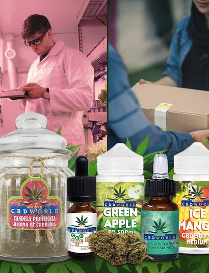 Amnesia shop cbd France