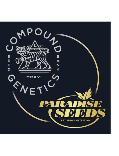 Paradise-Compound