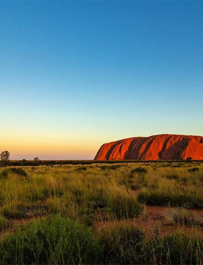 Fast die Hälfte der Australien für Cannabis-Legalisierung