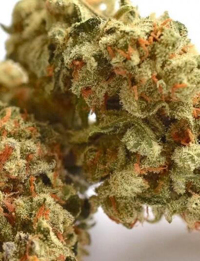 Auto Colorado Cookies