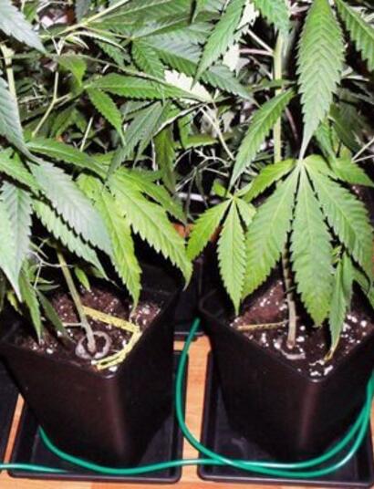 Combatir el frío en indoor