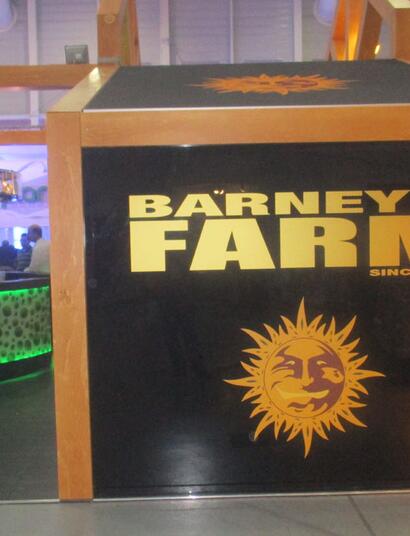 Échec de la fusion entre Barney's Farm, Sensi Seeds et ILGM