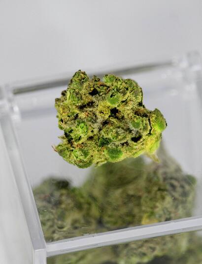 Beta-caryophyllene: properties and uses