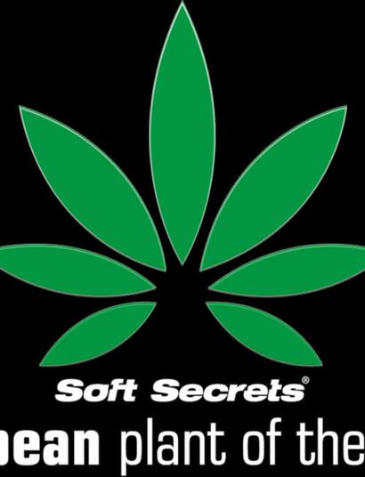 Głosuj teraz na europejską roślinę roku!!!