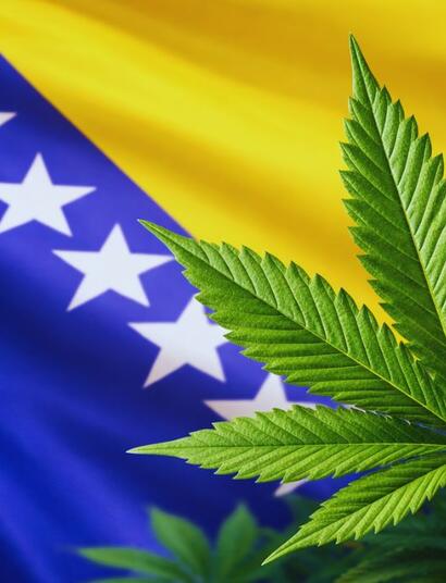 Bośnia i Hercegowina