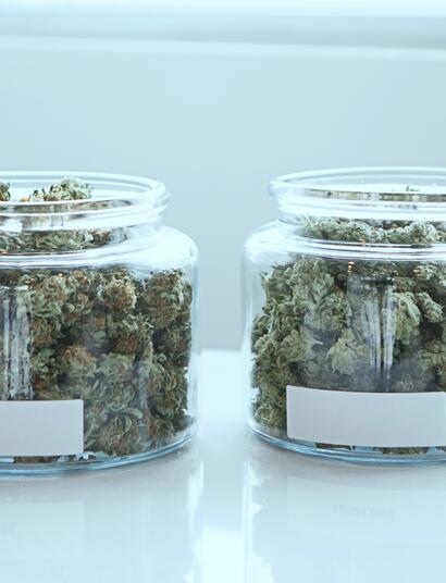 Britisches Forschungsprojekt zu medizinischem Cannabis