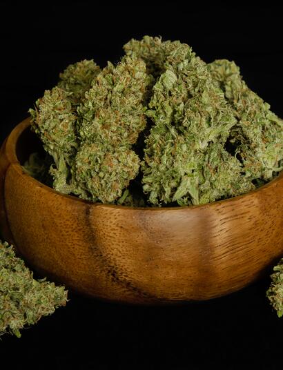 Royal Queen Seeds' new F1 hybrids are set to transform the cannabis industry with superior performance, offering growers uniform plants with higher yields, increased THC potency, and unbeatable F1 stability. 