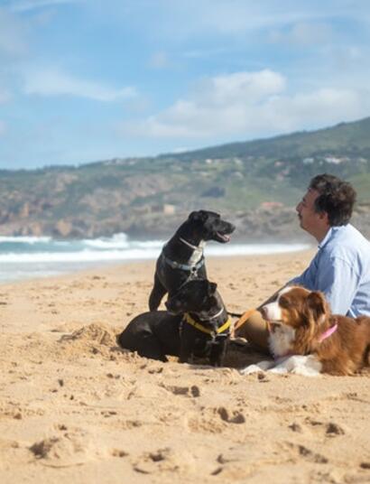 Man on  Beach with dogs