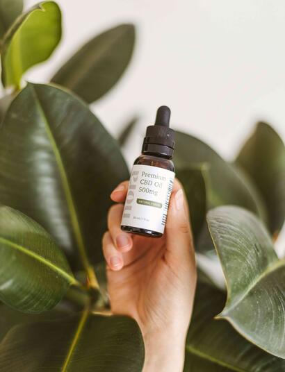 Findings indicate that CBD could reduce the negative impacts of acrylamide, a chemical formed when food is cooked at high temperatures.