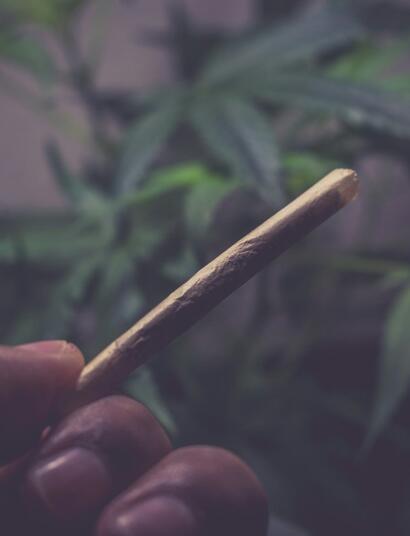 CBD jako brzda THC? Jen za určitých podmínek