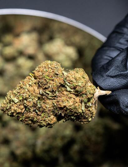 CBD jako velmi účinné antipsychotikum